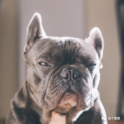 避风港|速看！绥宁县中小学幼儿园暑假时间定了