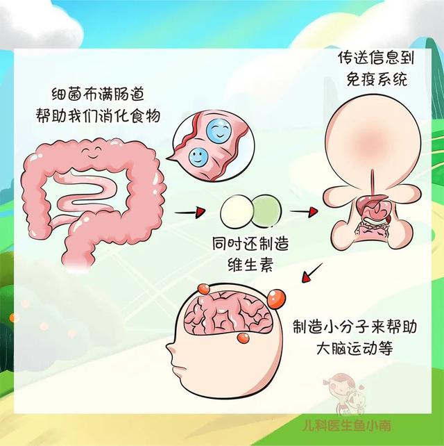 【你的育儿经】益生菌不可滥用！如何正确给宝宝服用益生菌，何时补充益生菌？