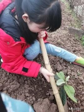 你的育儿经■80后夫妻都面临的问题，夫妻相聚与孩子教育，如何平衡与决择？
