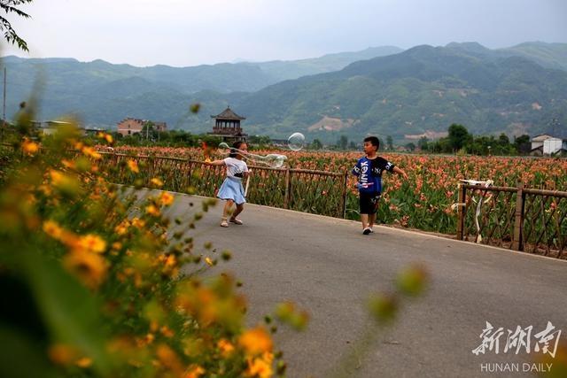 玩乐足迹:古村花开迎客来