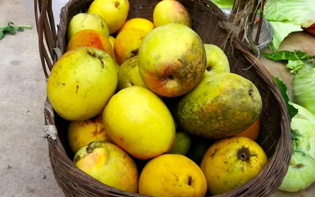 云南这木瓜，6块钱一斤，遇见多买几个，能生吃能做菜，酸甜爽脆