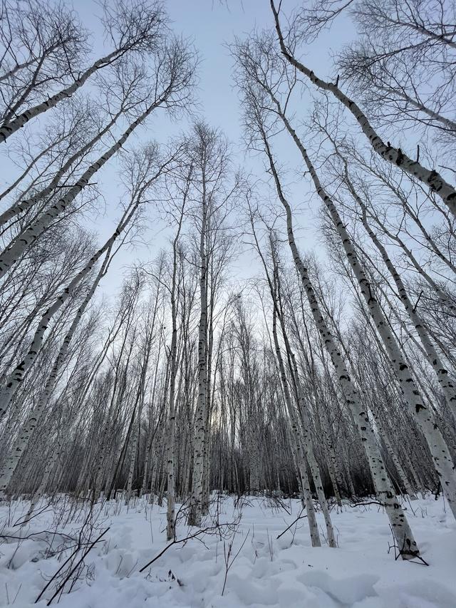 在漠河的冰雪中，触摸领克05的灵魂