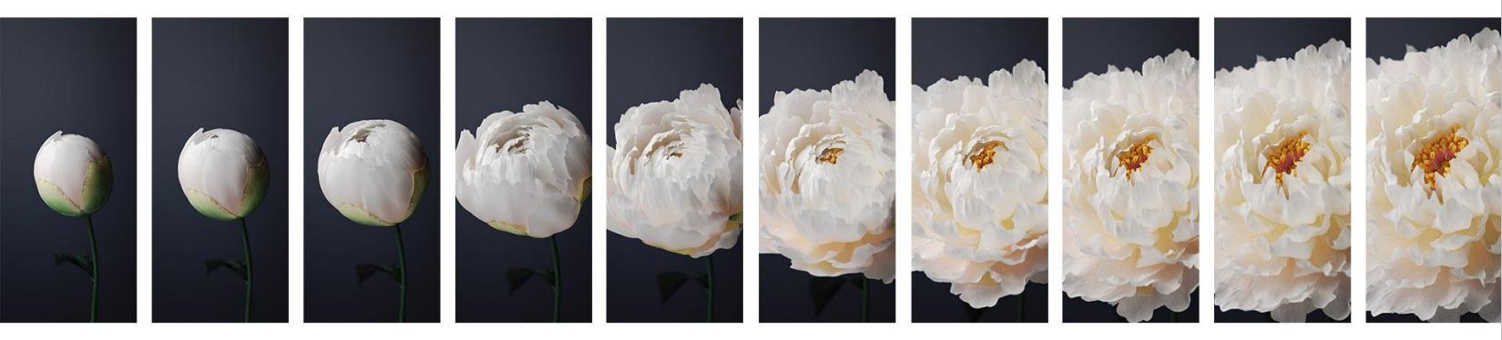 vivo推出OriginOS，创新交互让iOS直呼内行