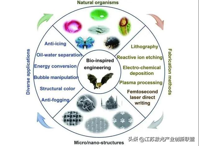 柔性电子的发展趋势-源于自然，超越自然，回归自然