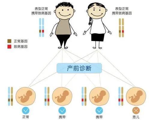 专题科普：怀孕那些事（六）