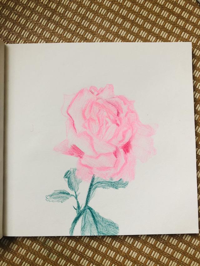超级宝妈@孩子遇到挫折就退缩？培养孩子的逆商，是父母最该做的事