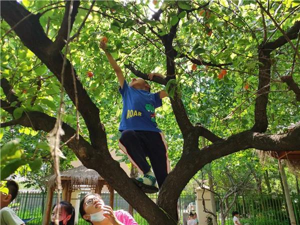 齐鲁东营资讯|亲亲宝贝欢迎“回家”——广饶街道中心幼儿园的开园第一天
