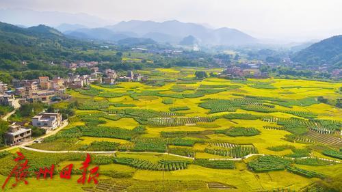 广州|老夏观察26 | 广州这项数据，26年一遇