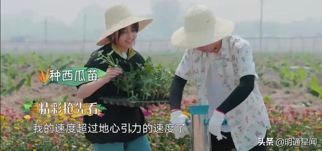 《向往的生活》张子枫迎来好友，不是谭松韵，居然是星二代的他？|电影工厂