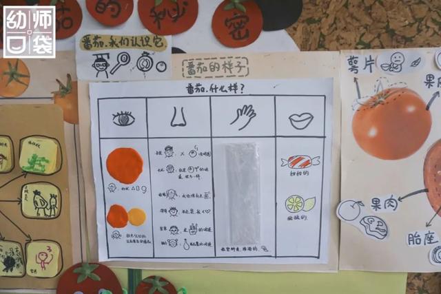 #超级宝妈#杭州这所幼儿园的劳动课程有何特别之处?孩子们会如此喜爱