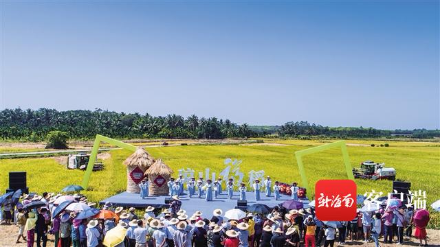 产业|海口琼山区：特色优势产业引领高质量发展