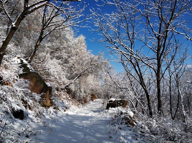 环球网：云游中国 | 喇叭沟原始森林公园