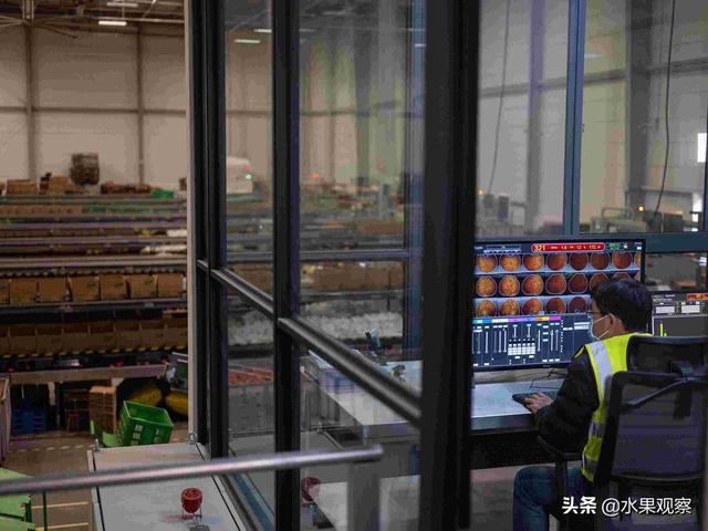 阿里巴巴西安仓正式开仓，农产品日吞吐量超行业平均水平3倍