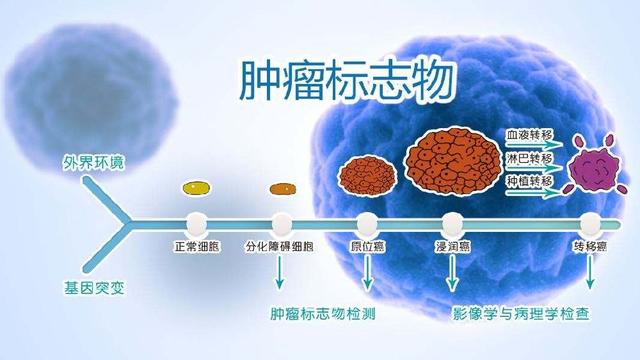 一文读懂肿瘤标志物检查