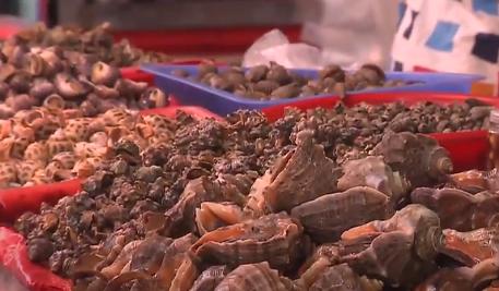 腹泻|厦门市疾控中心发布新一期健康预报：重点关注肠道传染病