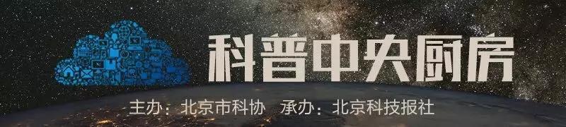 你的育儿经@自从第一批焦虑的父母出现，这些育儿理论就在一茬一茬割韭菜