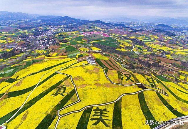 「约吗旅行」百万亩油菜花盛开，处处诗情画意，致最美的汉中油菜花