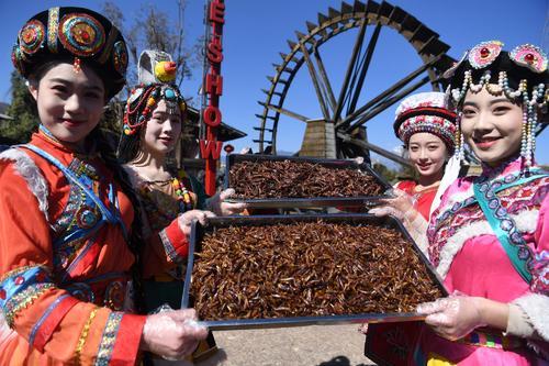 广西人和云南人喜欢吃虫子？其实中国这些地方，也有虫子做的美食