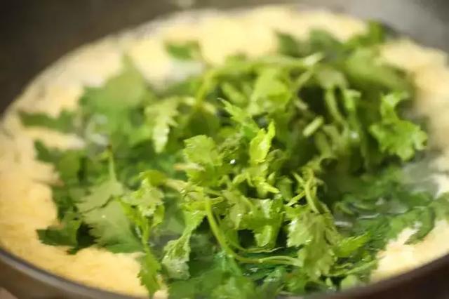 春天|冬末春初百病起，想要疾病不粘身？趁早吃点“苦”，