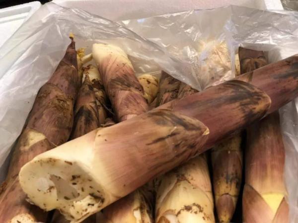 宁波|这口宁波人喜欢的鲜，最佳品尝季到了