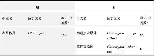 肺炎|注意！接触禽类需提防鹦鹉热肺炎