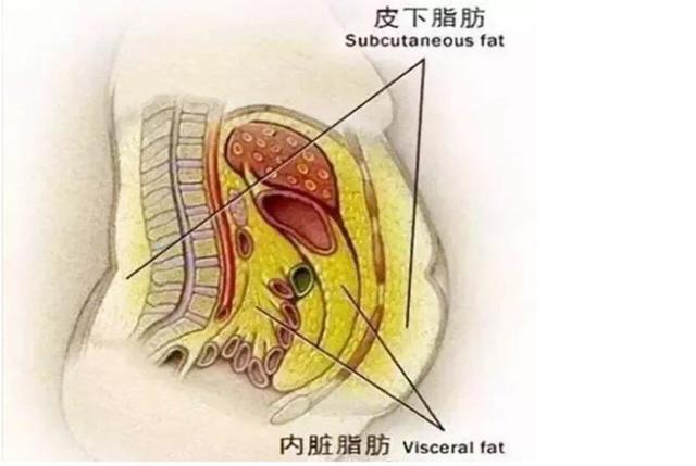 安全港|剖腹产顺便清除脂肪，产妇一顿神操作，生娃还能减肥？