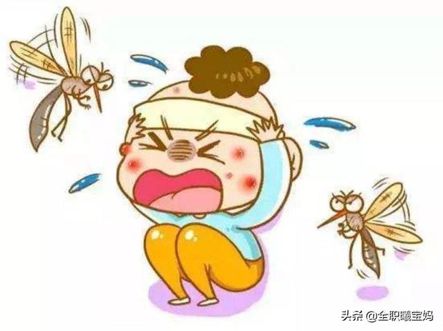相亲相爱|宝宝总被蚊子叮?防蚊、止痒的正确方法,这样做!