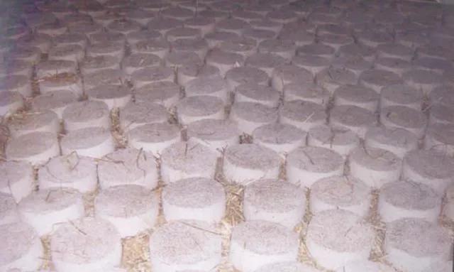 什么是特曲、大曲、二曲？