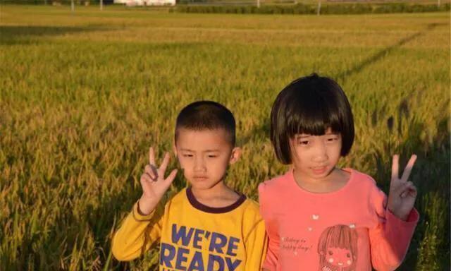 相亲相爱|哥哥带妹妹遛弯忽然想上厕所，为安心如厕，竟贴“告示”保护妹妹