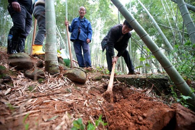 黄鱼|小柏菜｜去浙江山间，捕捉极品“山黄鱼”！那种鲜，才是春日限定美物
