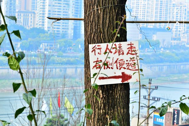 「趣旅游」山城重庆的“陷阱”：佛图关到李子坝只要210米？千万不要信