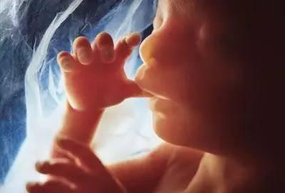「你的育儿经」怀孕12周做b超为什么胎儿不动？有两种情况，附胎动时间和位置