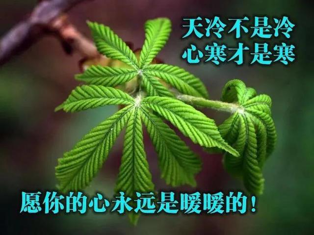 努力是一种生活态度，与年龄无关。早安