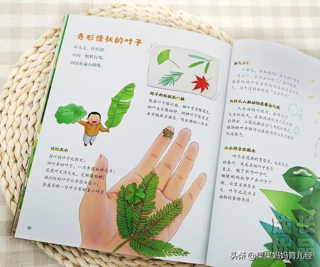 超级宝妈▲外国老爸带娃有多野？网友：确实有点过于“草率”了