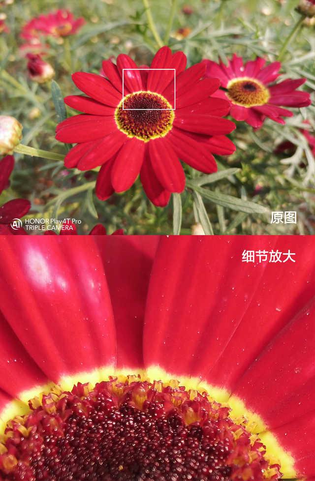 [勇哥科技]荣耀Play4T Pro评测：直出4800万像素，神U开启极致体验
