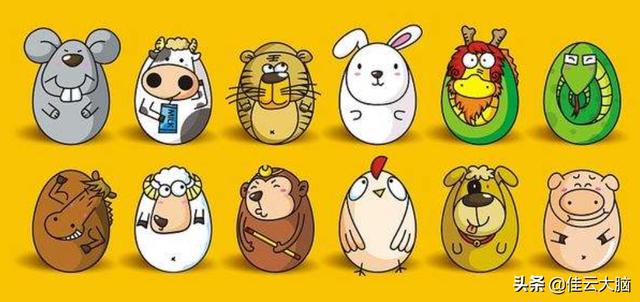 100行代码，用Python制作生肖属相分析仪