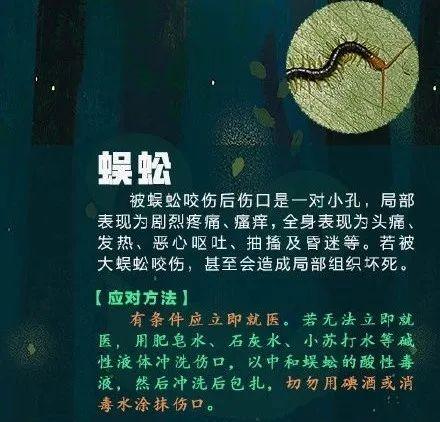 [光明网]高烧不退，严重可致命！青岛又有孩子中招！这个“小黑点”千万别大意