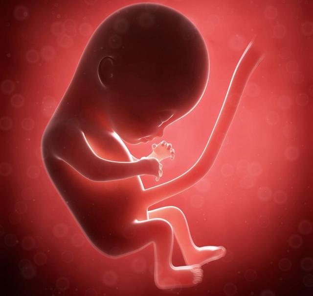 「超级宝妈」孕妇在熬夜时，胎宝宝在干嘛？孕妈：以后再也不敢熬夜了