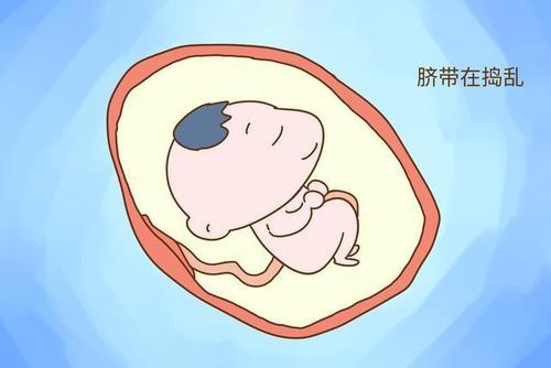 「你的育儿经」和妈妈合体的日子，胎儿在肚子里都做些啥？原来活动竟如此丰富