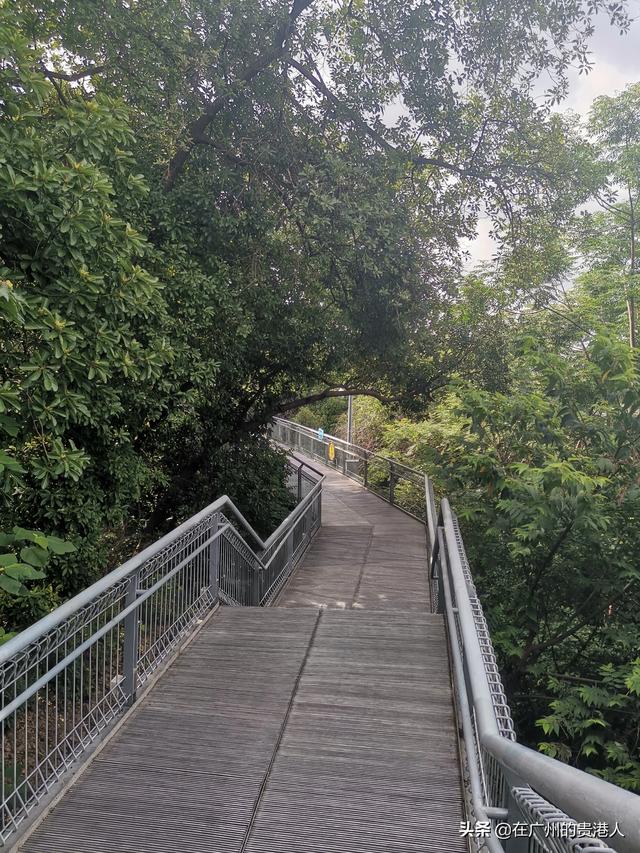 【山楂味的诗】走马观花,看顺德大良。