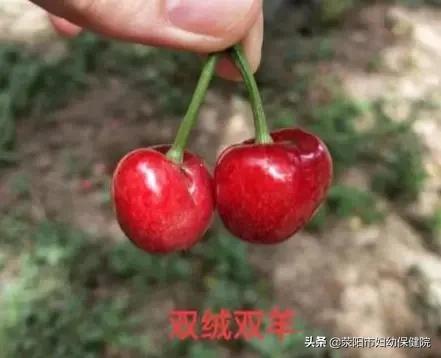 「你的育儿经」“争地盘”,从妈妈肚子里开始