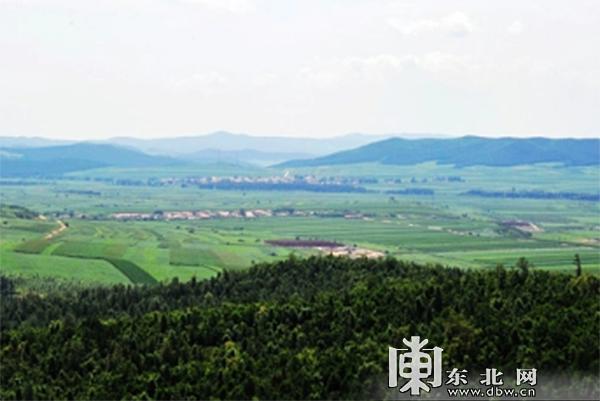 森林|龙江森林系自驾游C位出道 总有一款适合你（一）