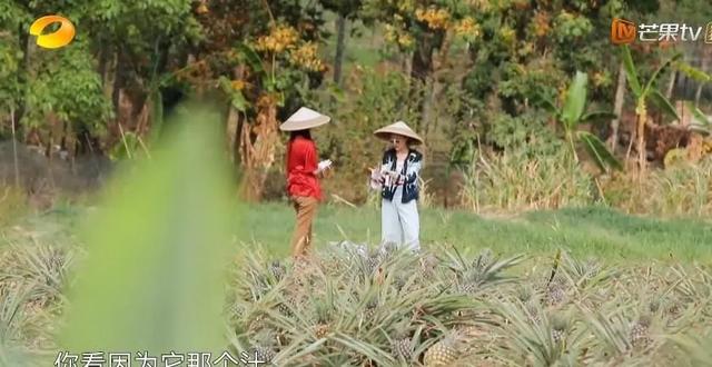 没了大华，这节目快糊了资讯早知道