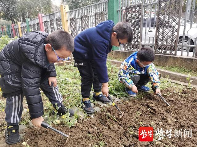 孩子|“春分时节乐趣多”，春分趣味活动让孩子们感受传统习俗魅力