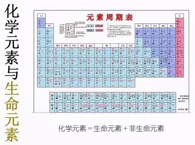 找到自愈癌症的神秘钥匙：他治愈了20多个癌症案例