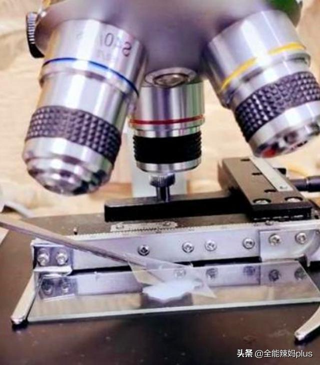 『超级宝妈』1000倍下的母乳什么样？显微镜下会动，网友：母爱最伟大！