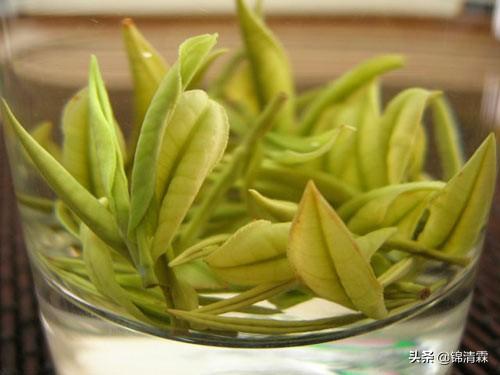 「超级宝妈」孕妇茶饮犯了该咋办？是喝还是不喝?注意这几点就对了