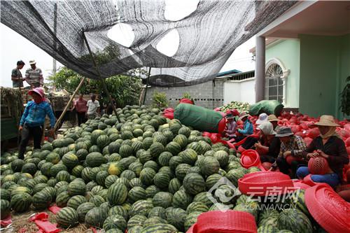 加快|云南瑞丽发布“十四五”规划和二〇三五年远景目标