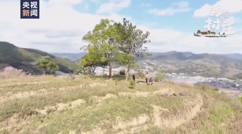 百香果|这里吸引了留学生，更留下了刘学生