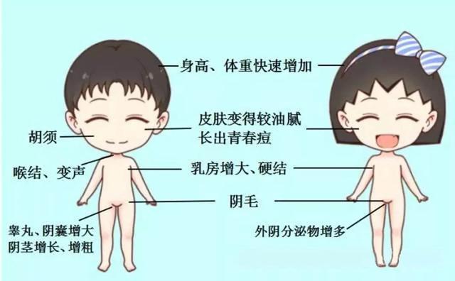 心理君|9岁男孩骨龄超12岁，3个月“吃”出性早熟！这些“毒产品”，正在毁了你的孩子！